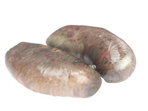 Chicken Kidneys 3D Model