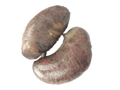 Chicken Kidneys 3D Model