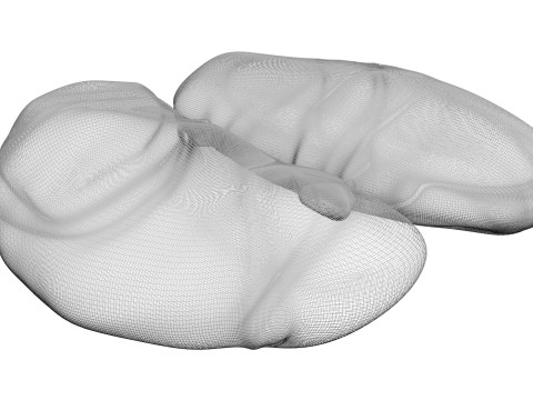 Chicken Kidneys 3D Model