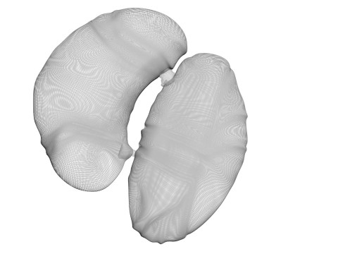 Chicken Kidneys 3D Model