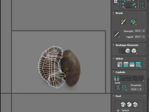 Chicken Kidneys 3D Model