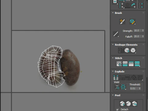 Chicken Kidneys 3D Model