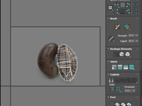 Chicken Kidneys 3D Model
