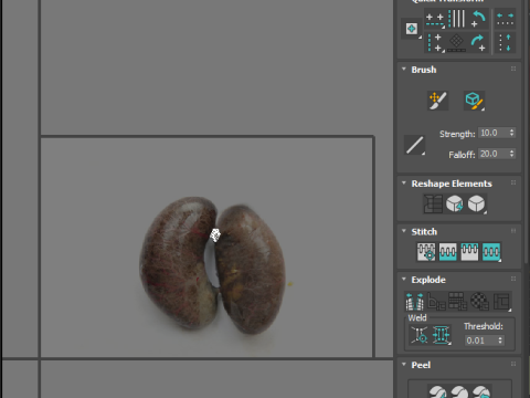 Chicken Kidneys 3D Model