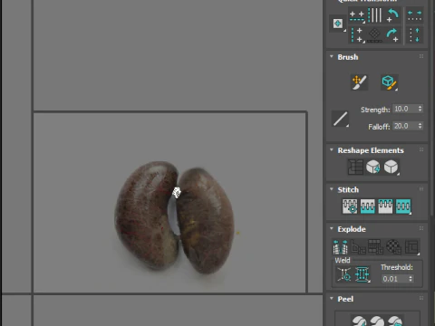 Chicken Kidneys 3D Model