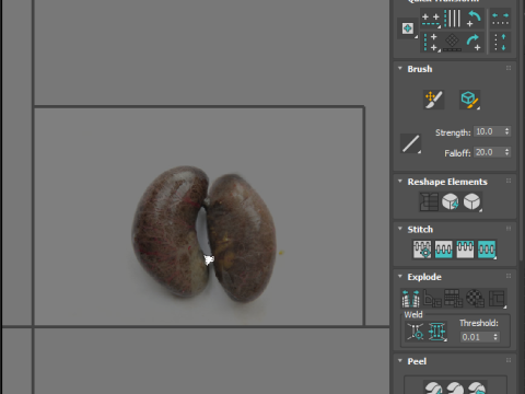 Chicken Kidneys 3D Model