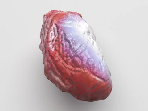 Estômago de Frango Modelo 3D