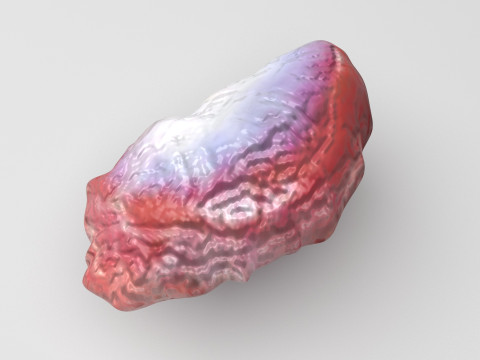 Chicken Stomach Model 3D