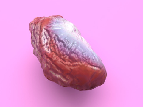 Chicken Stomach Model 3D