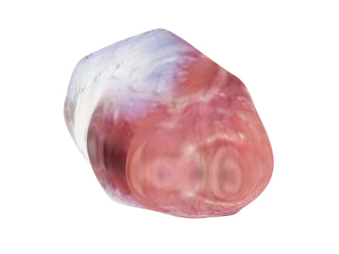 Chicken Stomach Model 3D