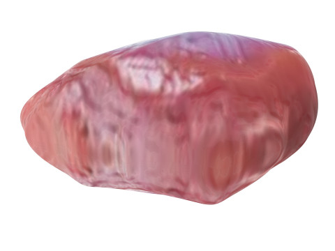 Chicken Stomach Model 3D