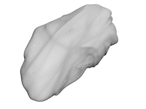Chicken Stomach Model 3D