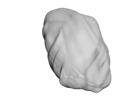 Chicken Stomach Model 3D