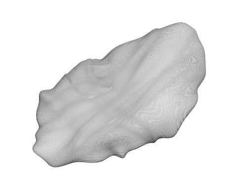 Chicken Stomach Model 3D
