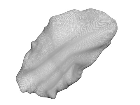 Chicken Stomach Model 3D