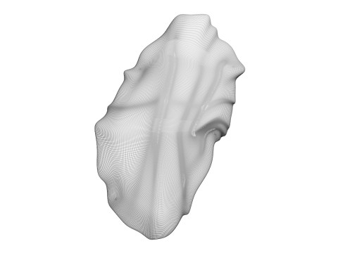 Chicken Stomach Model 3D