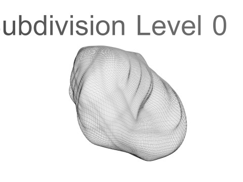 Chicken Stomach Model 3D