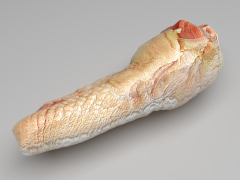 Chicken Neck 3D Model