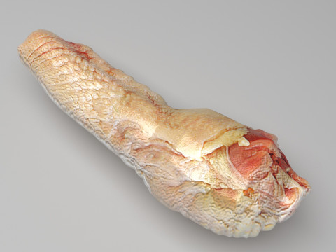 Chicken Neck 3D Model