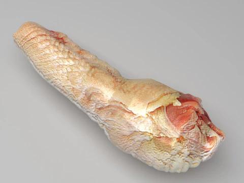 H&uuml;hnerhals 3D Modell