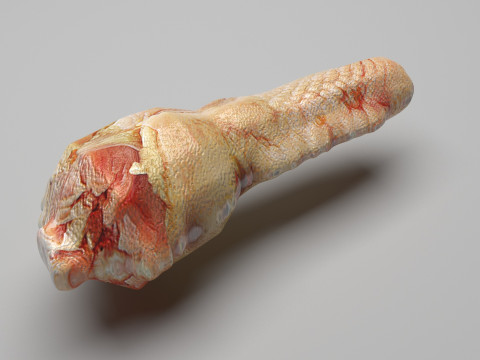 Chicken Neck 3D Model