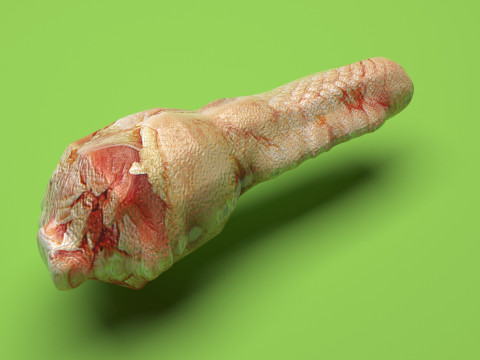 Chicken Neck 3D Model