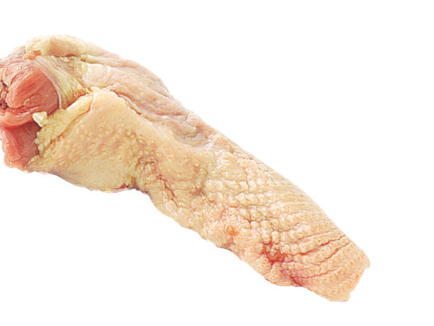 Chicken Neck 3D Model