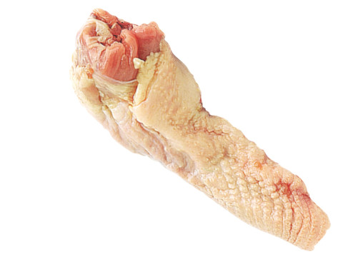 Chicken Neck 3D Model
