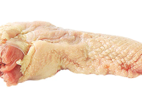 H&uuml;hnerhals 3D Modell