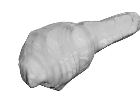 H&uuml;hnerhals 3D Modell