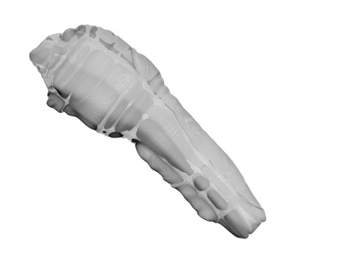 H&uuml;hnerhals 3D Modell