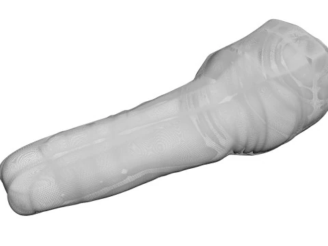 H&uuml;hnerhals 3D Modell