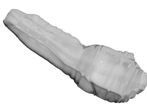 H&uuml;hnerhals 3D Modell