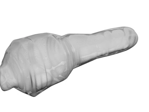 H&uuml;hnerhals 3D Modell