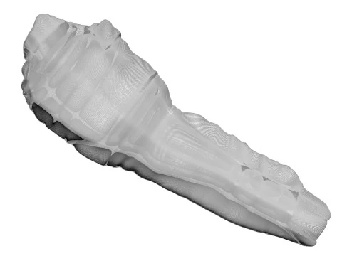 H&uuml;hnerhals 3D Modell