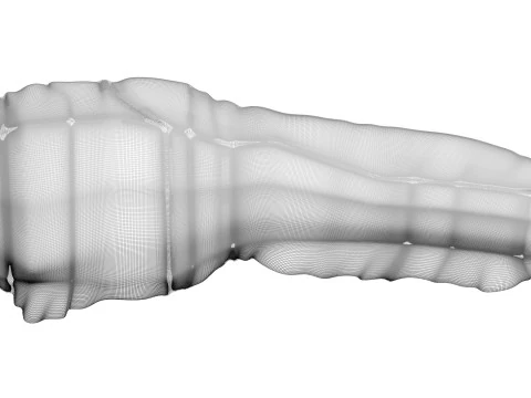 H&uuml;hnerhals 3D Modell