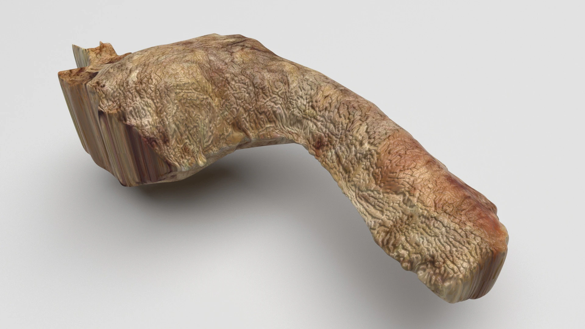 Cou de poulet Modèle 3D .c4d .max .obj .3ds .fbx .stl .blend 