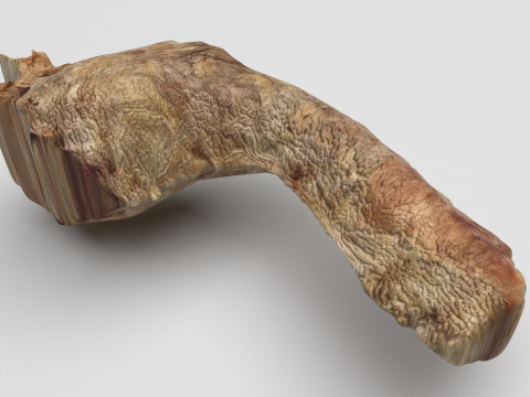 Chicken Neck 3D 모델