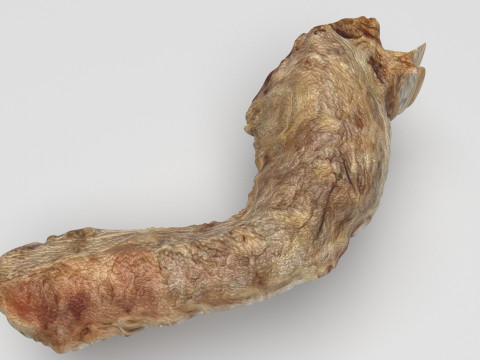 Chicken Neck 3Dモデル