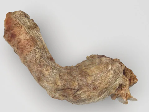 Cou de poulet Modèle 3D