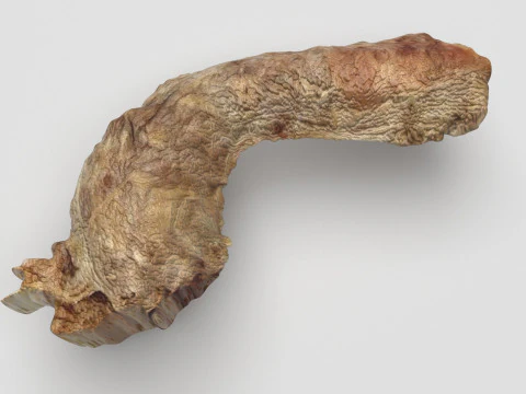 Cou de poulet Modèle 3D