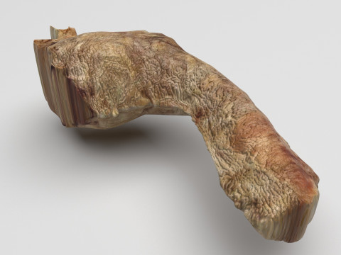 Chicken Neck 3Dモデル