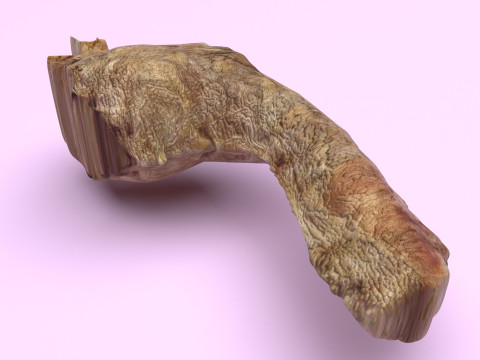 Chicken Neck 3Dモデル