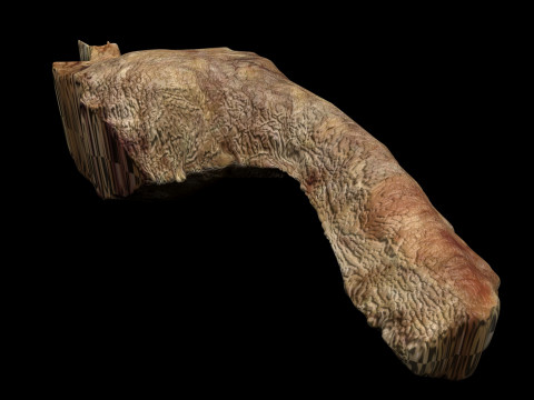 Chicken Neck 3Dモデル