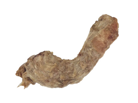Chicken Neck 3Dモデル