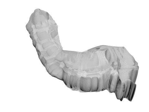 Cou de poulet Modèle 3D