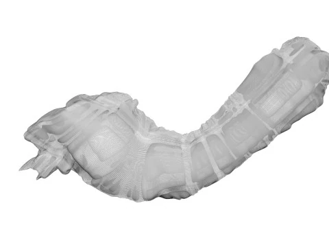 Cou de poulet Modèle 3D