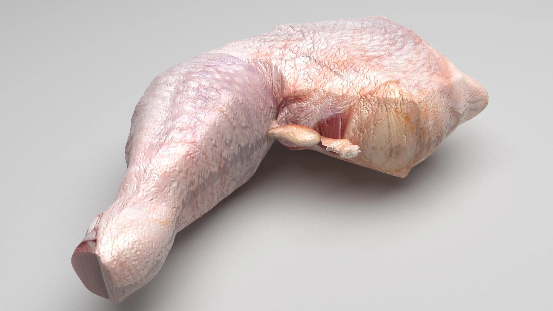 Chicken Thigh 3D Model .c4d .max .obj .3ds .fbx .stl .blend