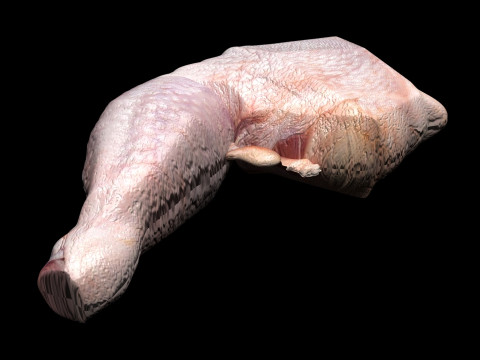 Chicken Thigh 3D Model