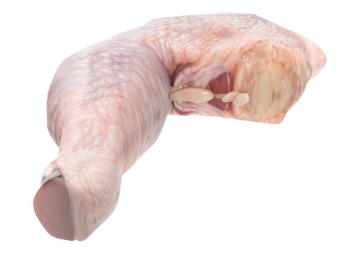 Chicken Thigh 3D Model